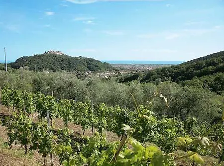 בית חווה La Sarticola *