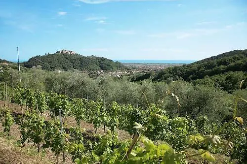 Κατάλυμα σε φάρμα La Sarticola *